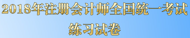 注冊會(huì)計(jì)師考試模擬試題