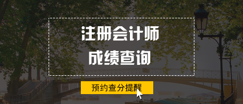 2018年注冊會計(jì)師查分提醒.png